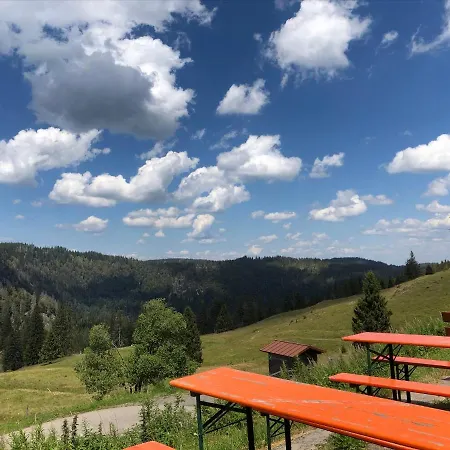 Schwarzwald Landhaus Leonore: Alpine View Ground Floor With Garden Terrace Uehlingen-Birkendorf