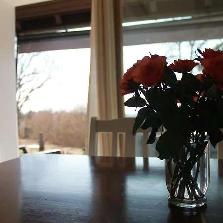 Schwarzwald Landhaus Leonore: Alpine View Ground Floor With Garden Terrace Apartment Uehlingen-Birkendorf